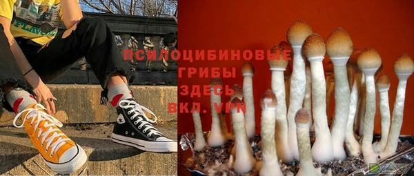 героин Вяземский