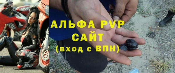 прущие грибы Россошь