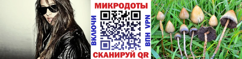 Псилоцибиновые грибы MAGIC MUSHROOMS  где купить наркотик  Отрадное 